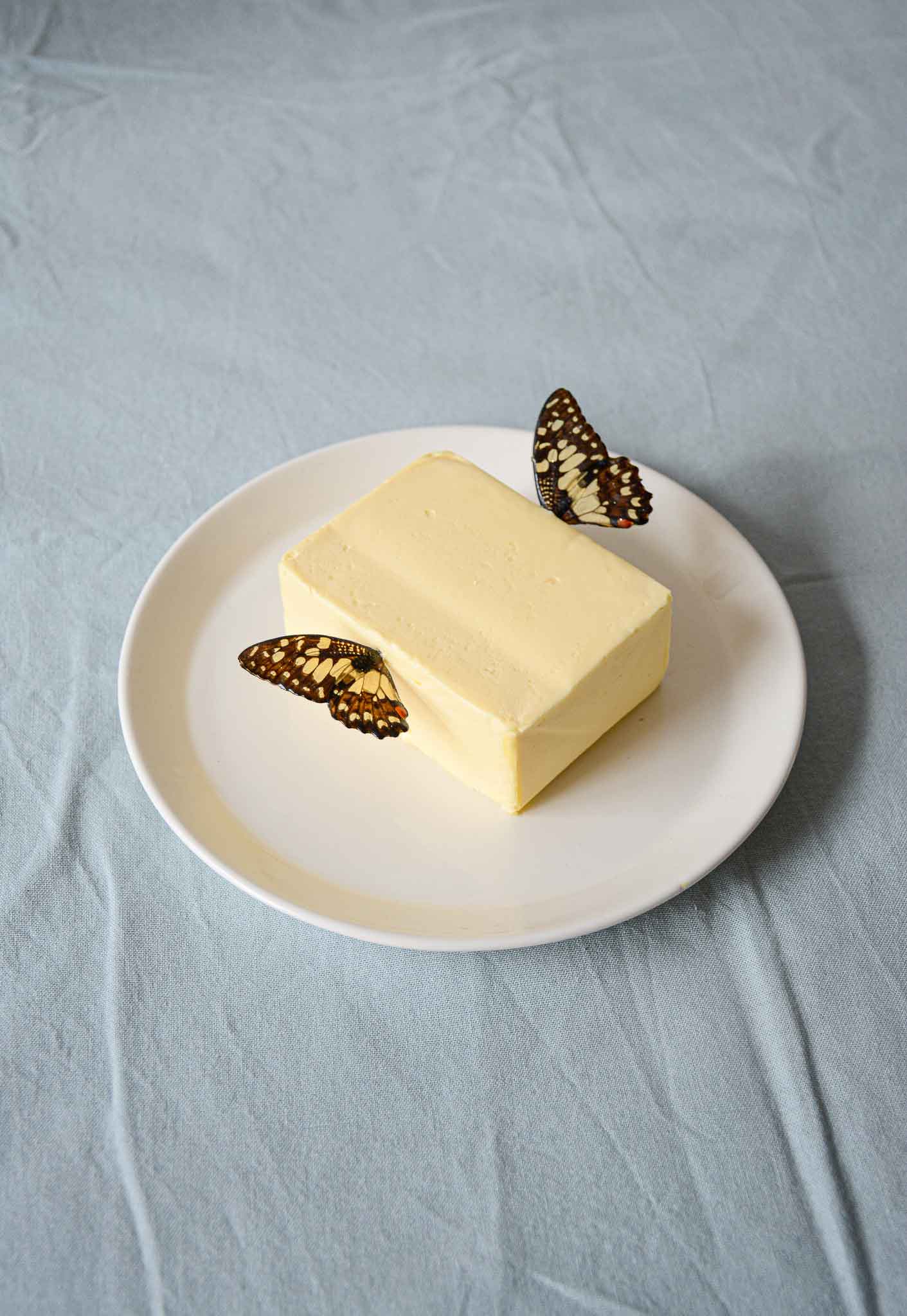 Butterfly - Fine Art Print